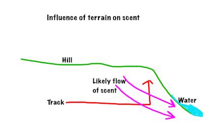 track on hill