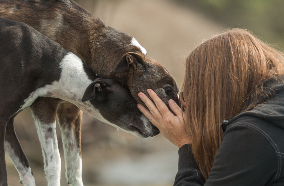 Tana Aleks USS hornet 2024