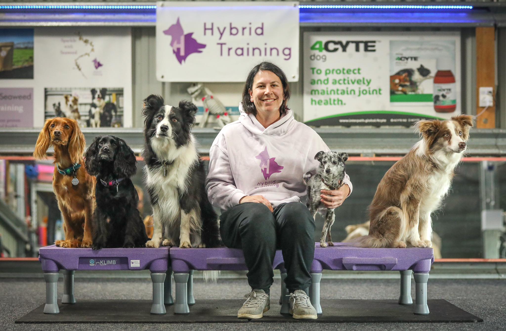 Woman with dark hair hair smiling and facing the camera.  She is sitting on klimbs with various dogs sitting next to her.