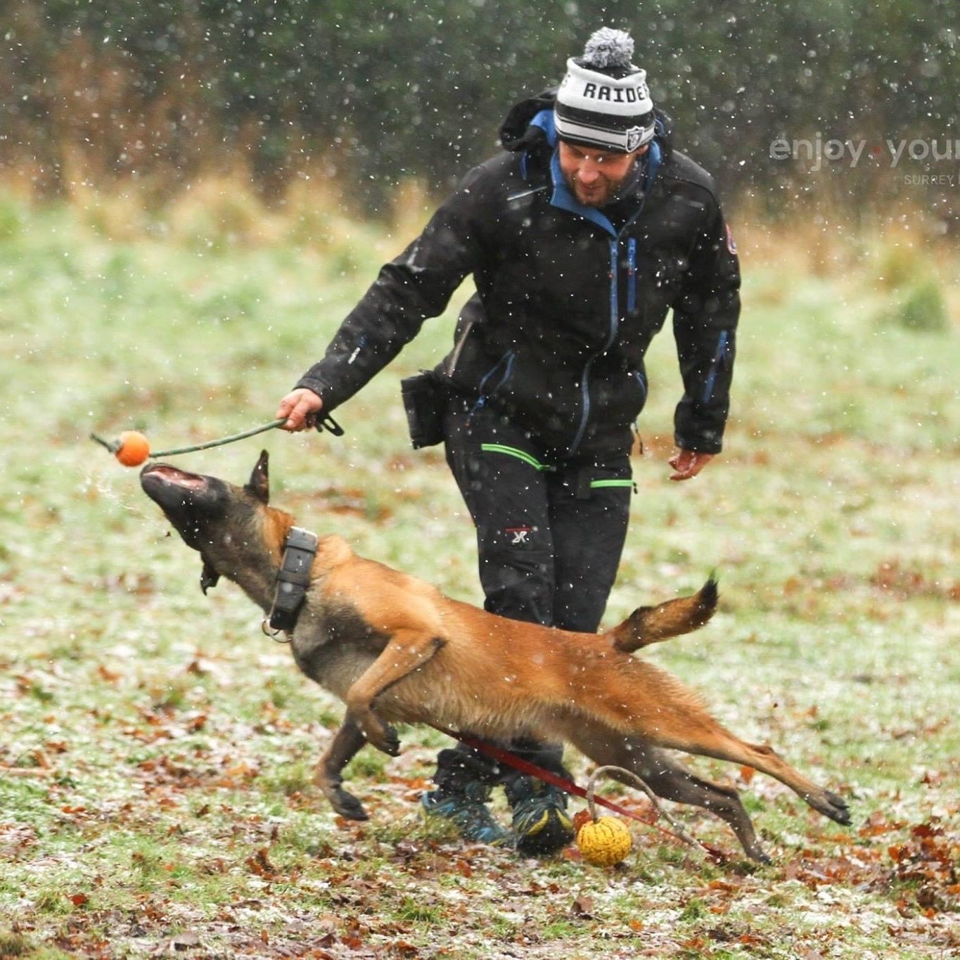 Man wearing a hat and dark clothes playing tug with a Malinois