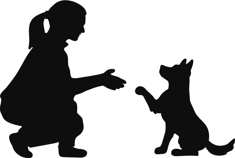 FDSA logo for foundations