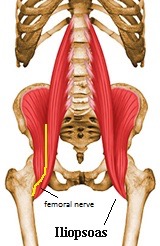 IS diagram 3