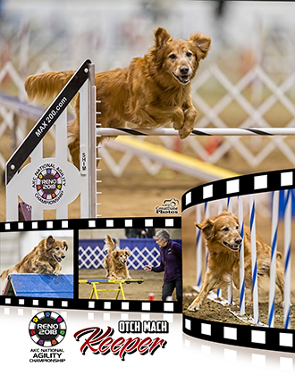 COLLAGE_STD_25339_497615_keeperBurr.jpg