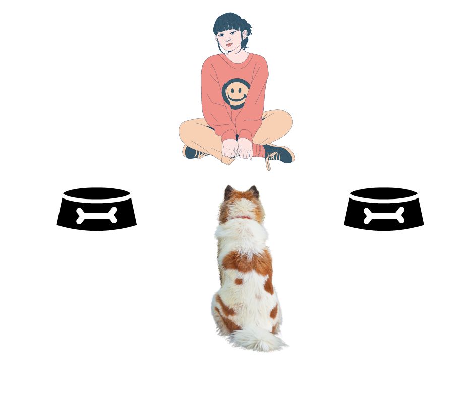 The same diagram as before with the lady sitting cross legged, and two bowls in front of her, but with the bowls further apart.  Her dog is still facing her sitting in preparation of starting the next round of fun!