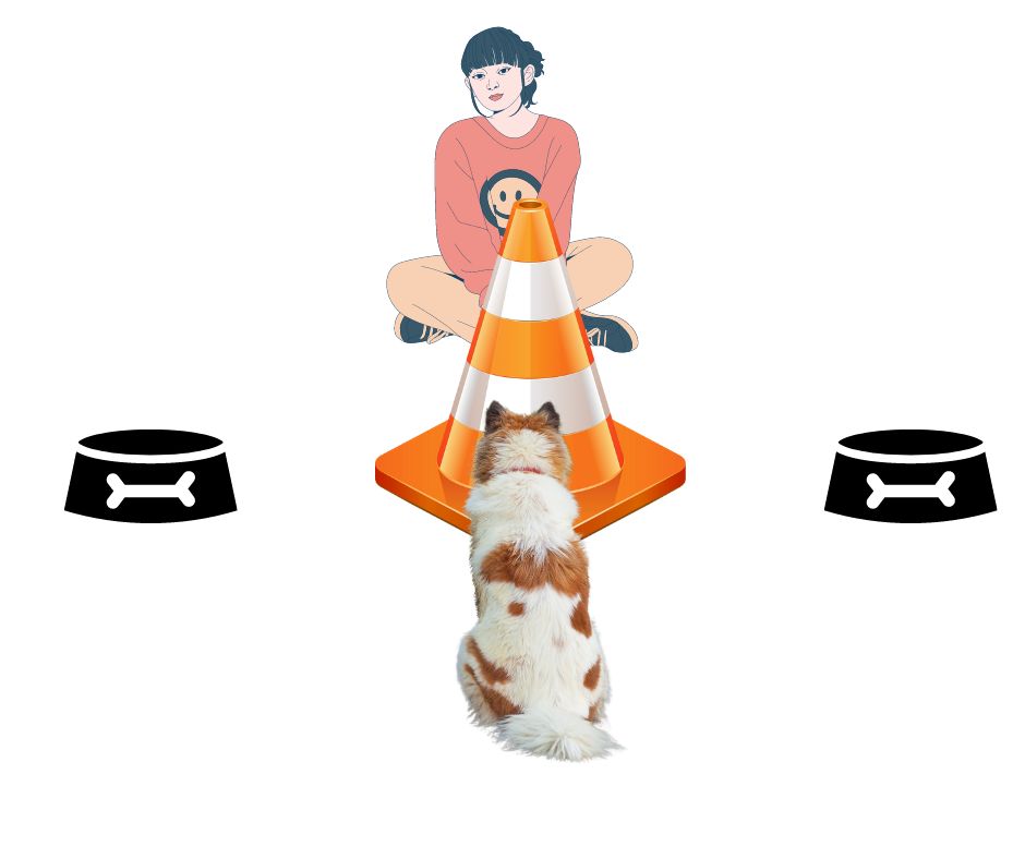 The diagram of the next step shows the same set up as before: lady sitting on the floor, with two dog bowls spread a few feet apart, and her dog sitting facing her. But, we've also added a prop- a traffic cone- which is placed directly between the two bowls. 