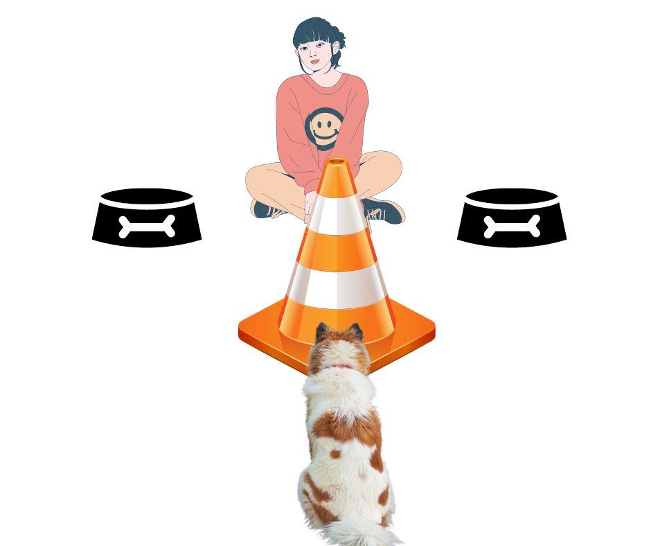 Diagram of step 4 shows our lady sitting on the floor, her dog facing her, and the prop between them. She has slid the two bowls closer to her, so they are no longer in line with her prop. 