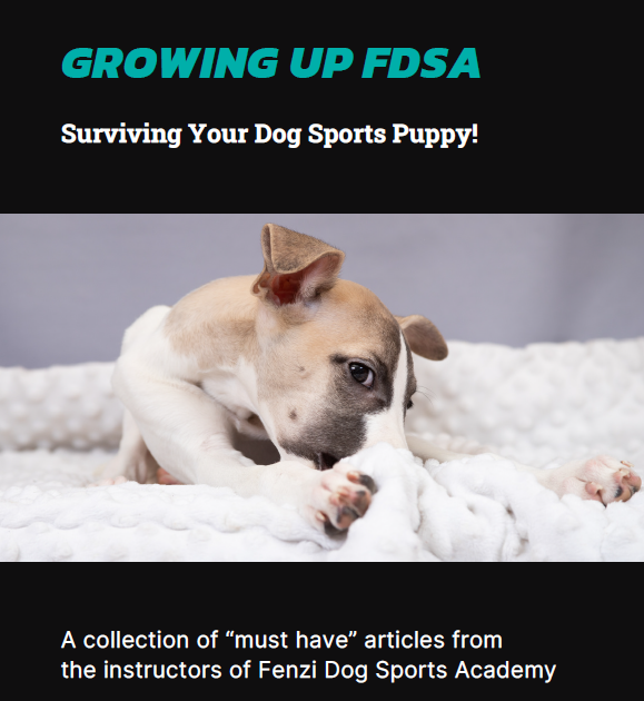 fdsa puppy book cover