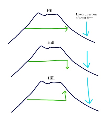 hill diagram