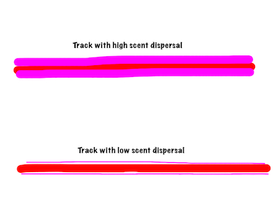 nw150 track diagram