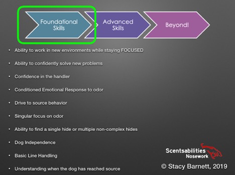 Foundational Skills