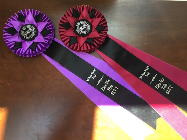 ELT Ribbons