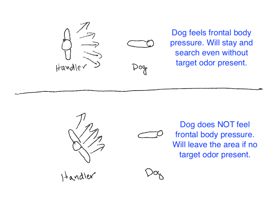 Body Pressure Diagram