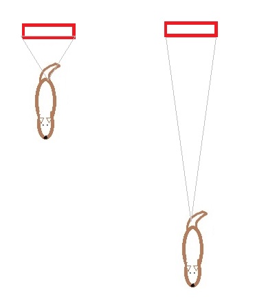 2 drawings of a dog facing away from a rear foot target. When the dog is close, there is roughly 80 degrees the dog can backup and still hit the target. When the dog is far away, the start angle to the backup is roughly 30 degrees for the dog to still hit the target..