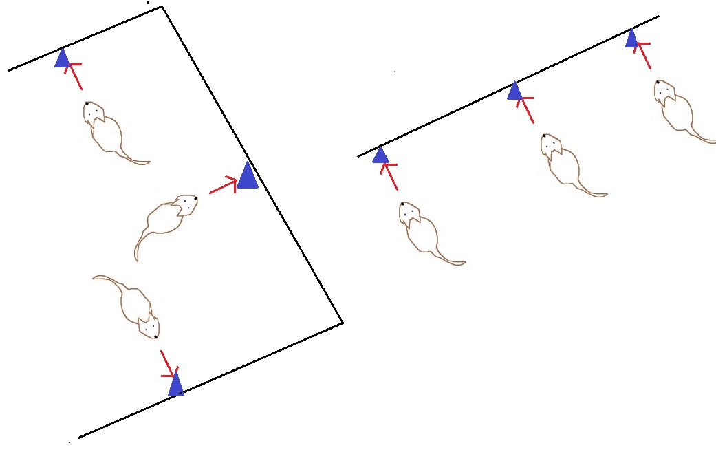 drawing of 3 targets set out on different walls of the room and a drawing of 3 targets in a line several feet apart