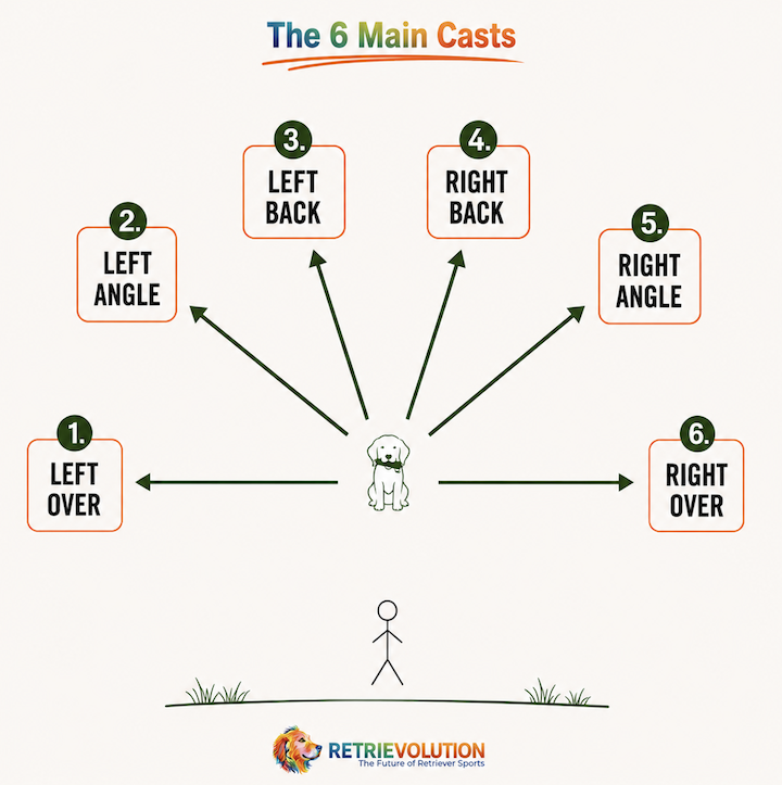 The_6_casts_diagram.png