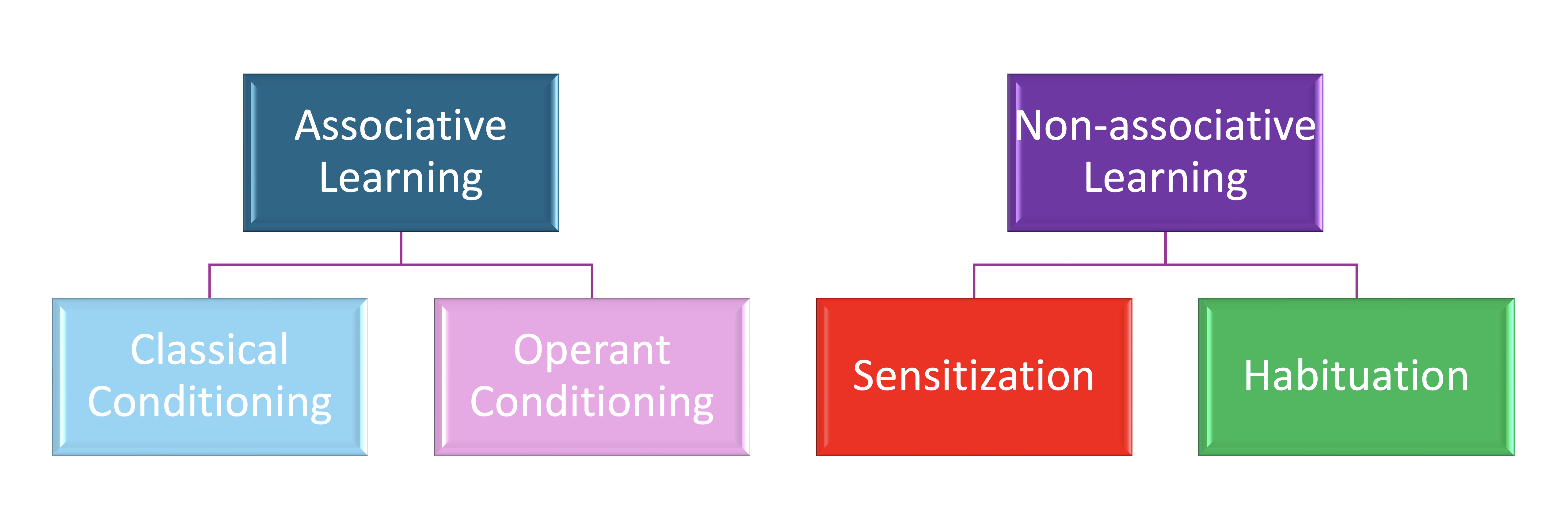 Types of Learning