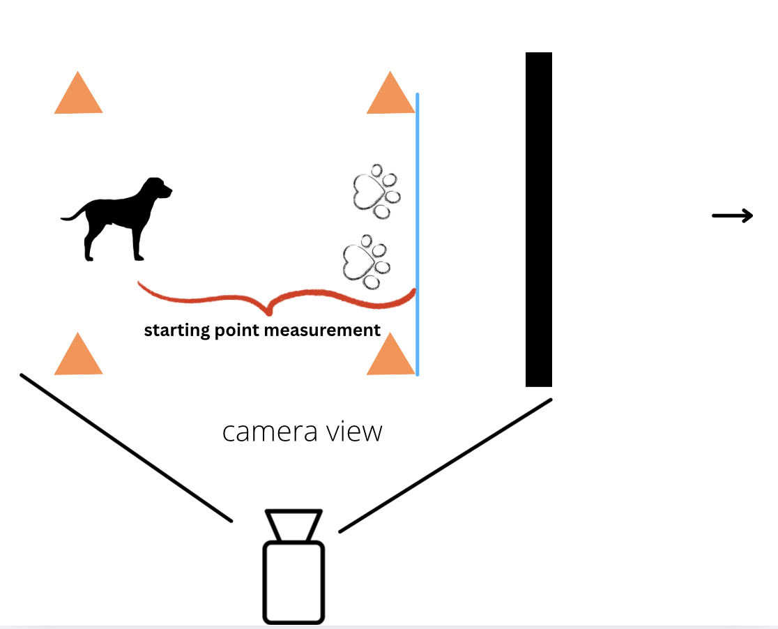 diagram showing the exercise set up, with ideal rear foot placement near but back from the edge of the imaginary dock. Measure from the edge to the dog's front foot position. 