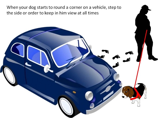 vehicle-leash-handling