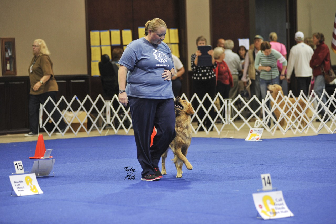 IV. Importance of Timing in Rally Obedience Competitions