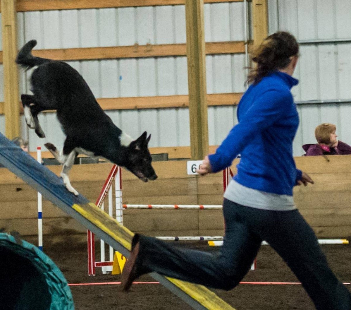 How Do I Make A Agility Frame For My Dog