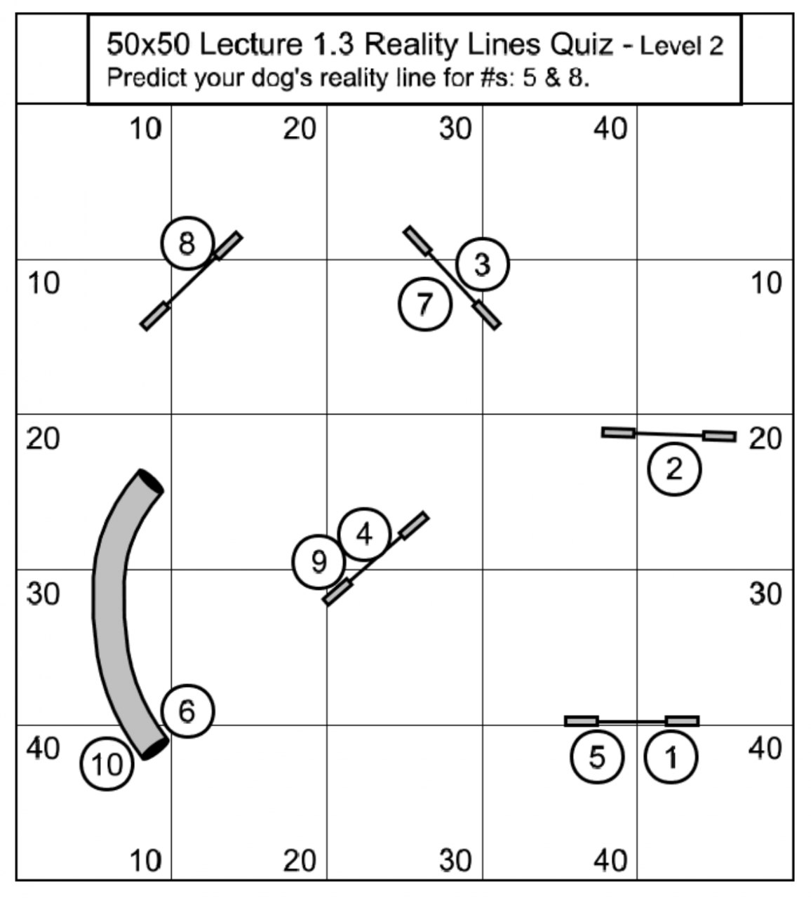 Training Dog Agility  Dog agility course, Dog agility, Dog