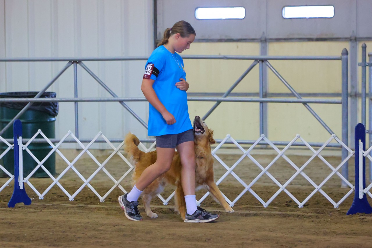 Competition heeling cheap