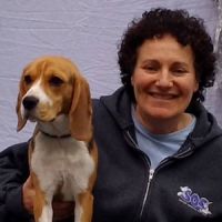Susan R. Yanoff