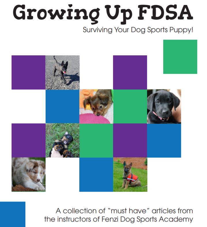 fdsa puppy book cover