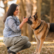 Guest Instructor - Sarah Rida